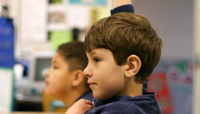 Young student in class