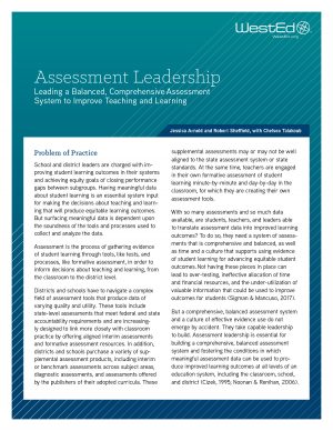 Assessment Leadership