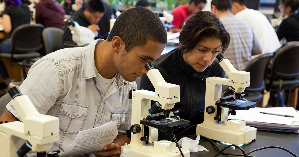 students in science class