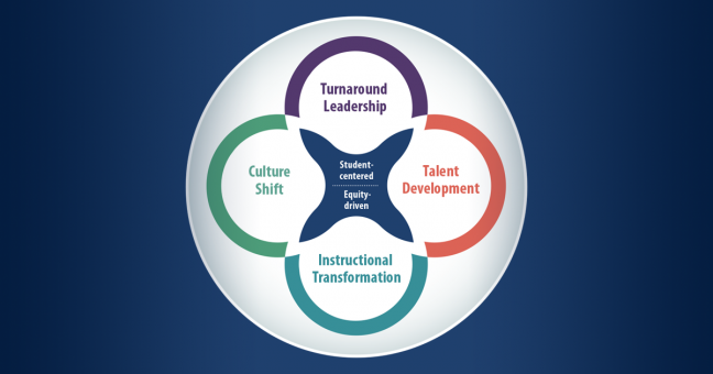 Graphic illustrating the four domains