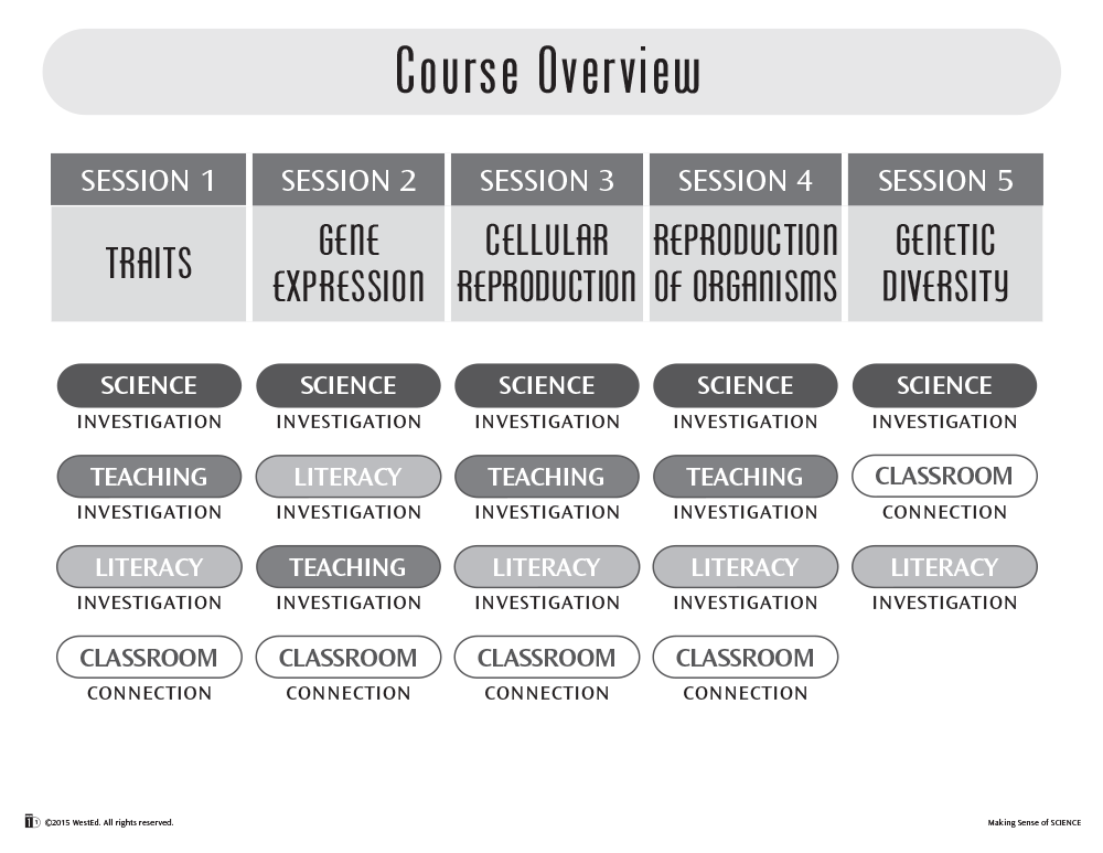 Cover image for Making Sense of SCIENCE: Genes & Traits for Teachers of Grades K-8 (Charts)